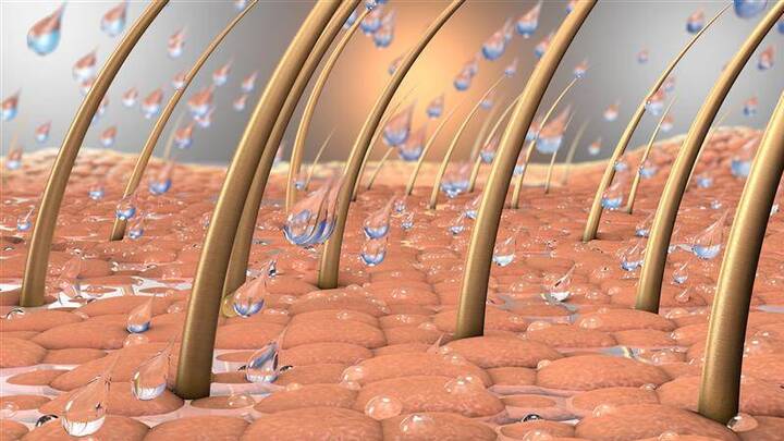 Feuchtigkeit und Hautirritationen können die Hautbarriere bei Menschen mit Inkontinenz schädigen. Eine aktuelle Metaanalyse zeigt, dass etwa jeder siebte Betroffene eine Inkontinenz-assoziierte Dermatitis entwickelt.