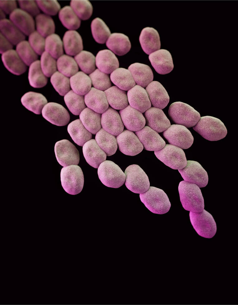 Nosokomiale Infektionen: Epidemiologie, Erregerspektrum und Prävention