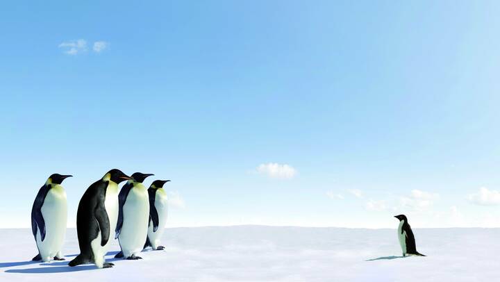 Pflegestreiks: UKGM ruft zum Boykott auf