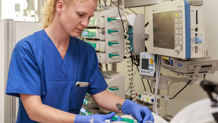 DFK 2018: Frühbucherrabatt verlängert