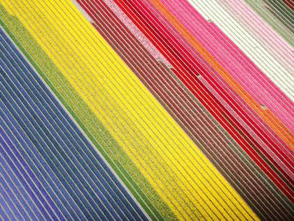 Welche Aufgaben können akademisch qualifizierte Pflegefachpersonen in der Langzeitversorgung und im Quartier künftig übernehmen?