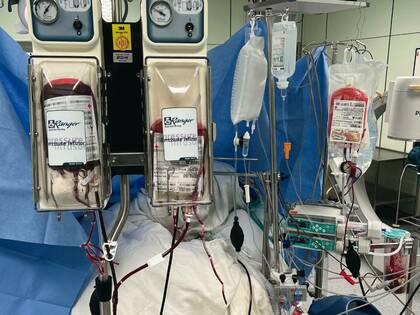 Richtiger Umgang mit Blutkomponenten