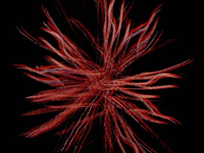 "Wie fühlt sich Ihr Schmerz an?"