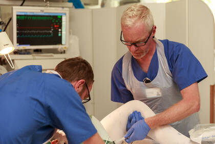 Pflegefachpersonen legen transurethrale Katheter auf Delegationsbasis. Wer haftet, wenn es zu Verletzungen kommt?