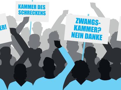 "Der Kammer gelingt es nicht, mit ihrer Arbeit zu überzeugen"