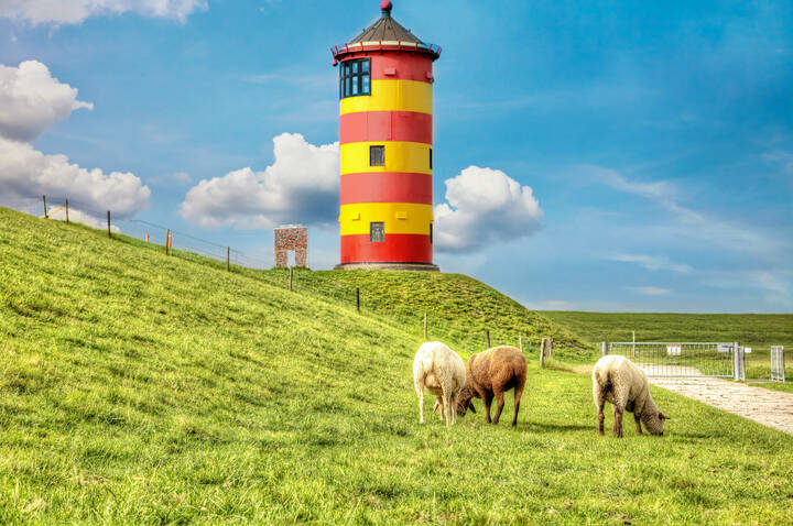 Niedersachsen-Wahl: Bleibt die Pflegekammer?