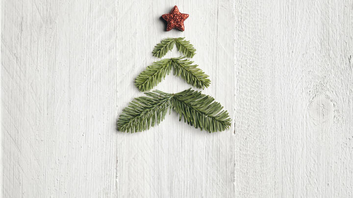 BibliomedPflege wünscht frohe Weihnachten