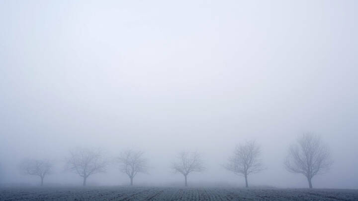 Themenpaket "Palliative Pflege" als Gratis-Download