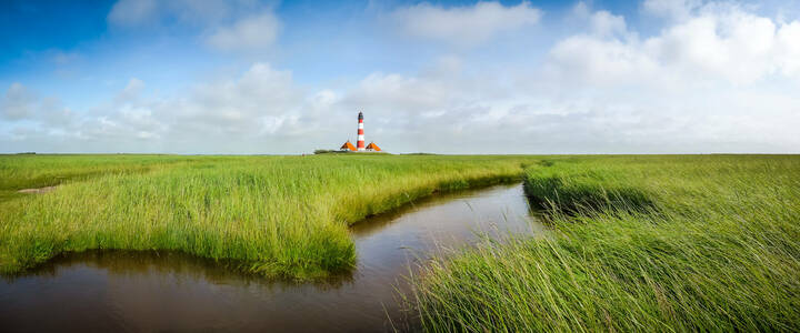 Verbände schlagen Alarm: CDU Schleswig-Holstein will Pflegekammer abschaffen