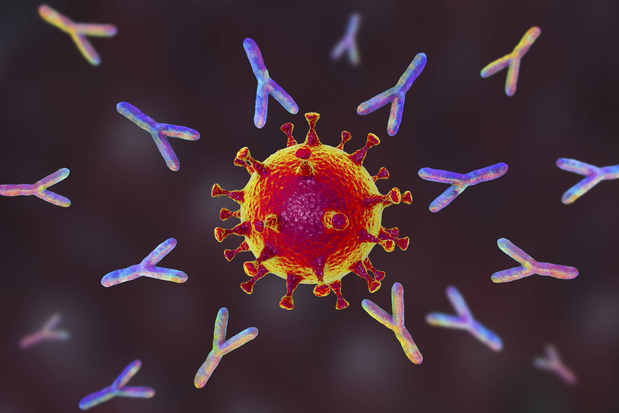 Infektionsschutz DBfK Startet Video Immunologie Updates