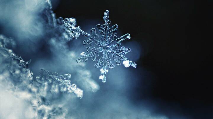 Die BibliomedPflege-Redaktion verabschiedet sich in die Winterpause. Ab 7. Januar 2020 sind wir wieder für Sie da. 