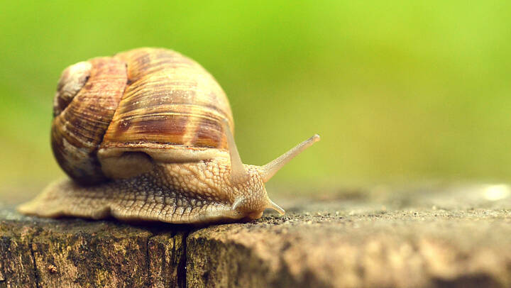 Branche wird nur langsam digitaler 