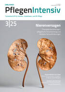 pi Ausgabe 3/2025