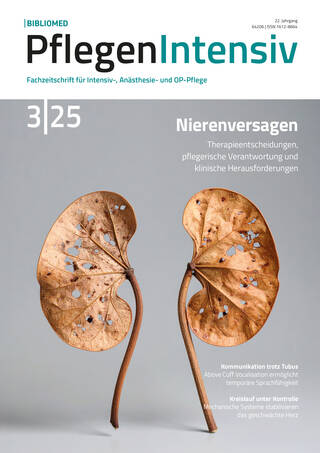 PI_03-2025_Titel.indd Ausgabe 3/2025