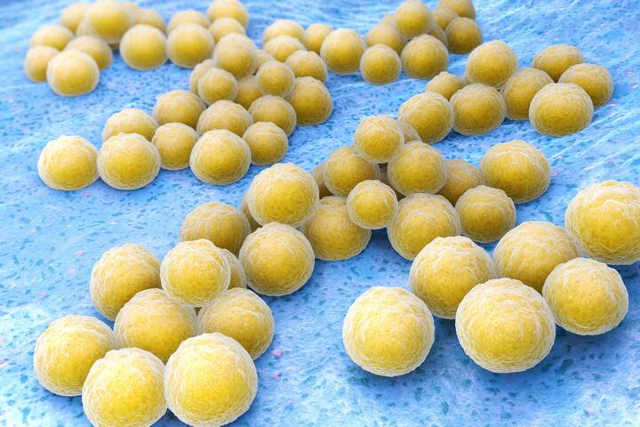 Neuartiges Antibiotikum gegen Problemkeime in Sicht