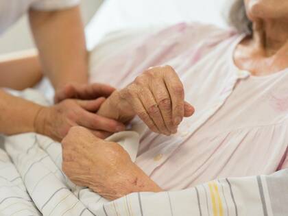 Algorithmus auf dem Prüfstand