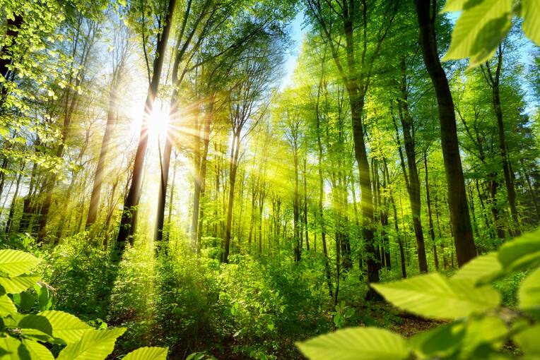Aktiv für den Klimaschutz