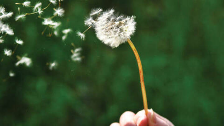 Flächendeckende Sterbebegleitung in NRW