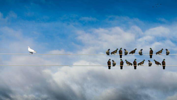 Ausländische Pflegende oft mit Rassismus konfrontiert