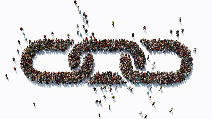 Pflegemanagement in Niedersachsen stellt sich hinter Kammer