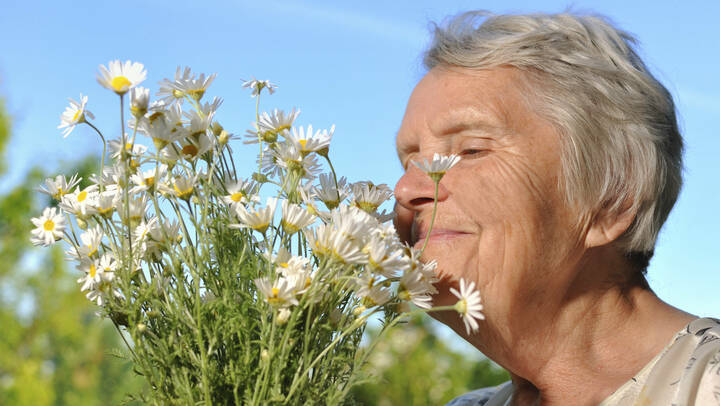 Online-Übersicht: Alternative Heilmethoden in der Pflege