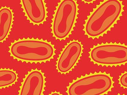 Die Weltgesundheitsorganisation hat die gesundheitliche Notlage von internationaler Tragweite für Mpox ausgerufen. Was das jetzt für Pflegepersonal bedeutet.