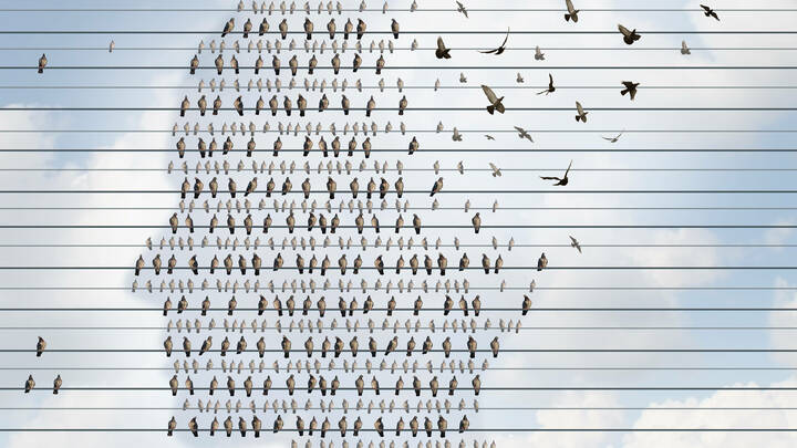 Thüringen schult Interessierte zu "Demenz Partnern"