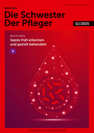 Ausgabe 11/2025