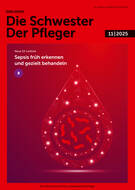 sp Ausgabe 11/2025