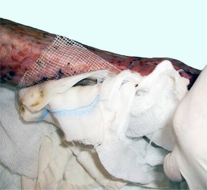 Schmerzen minimieren