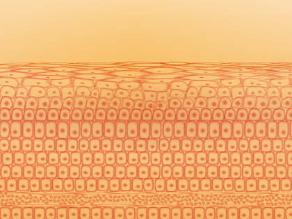 Eine Übersichtsarbeit hat drei zentrale Faktoren identifiziert, die Pflegefachpersonen bei Menschen mit Inkontinenz im Kopf haben sollten.