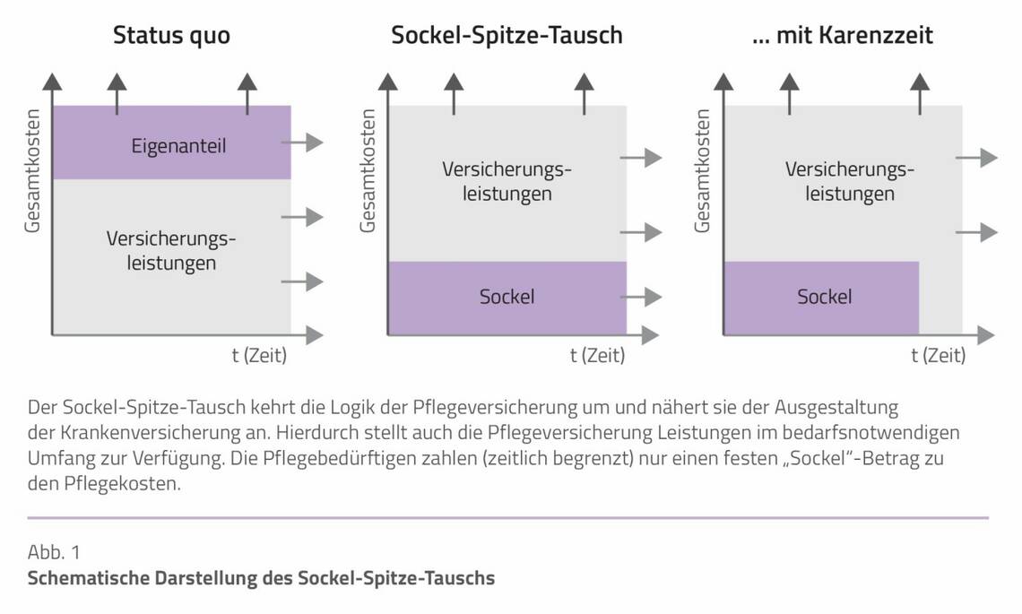 rothgang_abb1.jpg