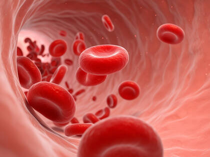 Das E‑Learning-Modul "Sepsis erkennen" schließt die Schulungslücke zum neuen Qualitätssicherungsverfahren Sepsis, das seit Januar 2026 wirksam ist.