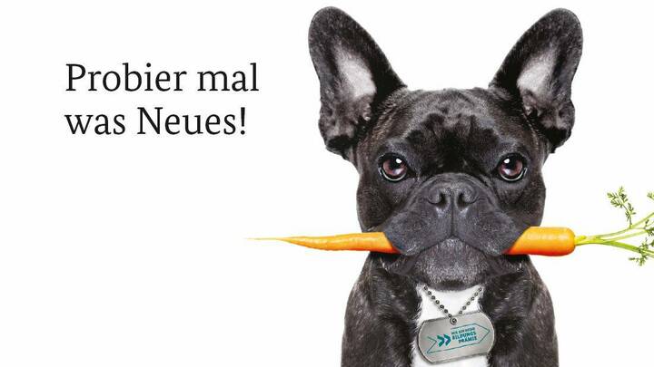 So gibt es finanzielle Unterstützung