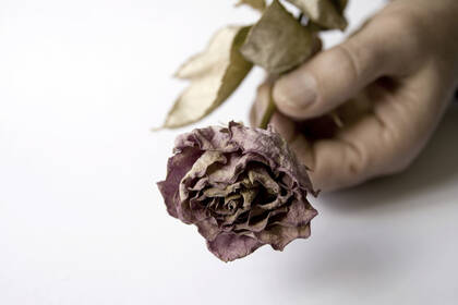 Staatsanwaltschaft klagt ehemaligen Mitarbeiter eines Klinikums in Würselen in weiteren Fällen des Mordes und des Mordversuchs an.