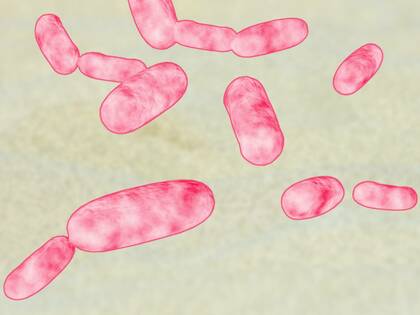 Resistenzproblem weitet sich dramatisch aus