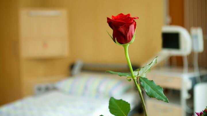 Neues E-Paper: Den Abschied würdig begleiten