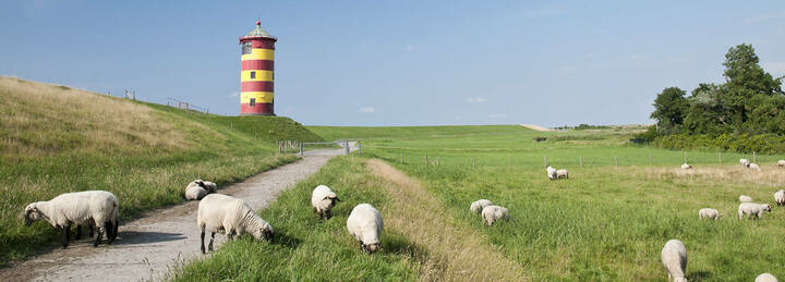 Pflegekammer Schleswig-Holstein: Auftakt zur Infotour
