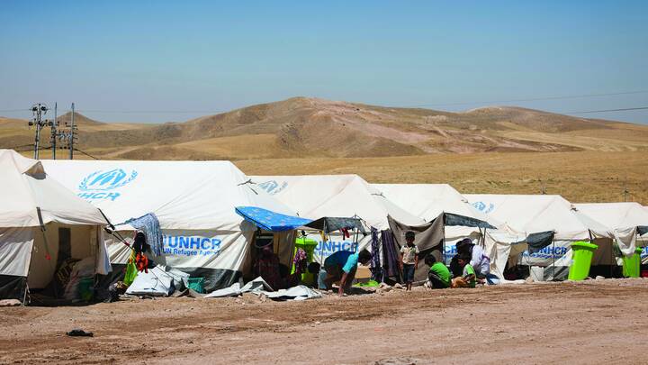 DPR bietet Webinare zum Thema Flüchtlinge an