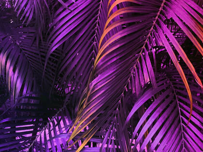 Die Vorgaben, Strukturen und Möglichkeiten in der Pflege­bildung sind heterogen und unübersichtlich. Das Projekt „career@care“ will das ändern. 