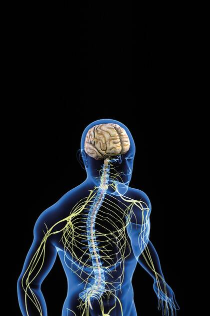 „Schreckgespenst in der Anästhesie“ 