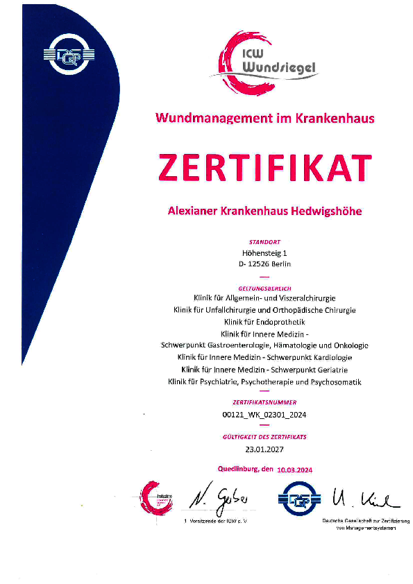 x_Wundsiegel_Dreissig.pdf