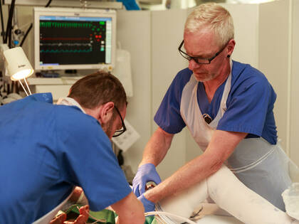 Dauerkatheter Blase: Wann und wie wechseln?