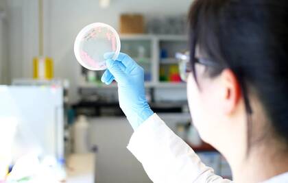 Antibiotikaresistenzen nehmen zu: Eine neue wissenschaftliche Arbeit aus Kiel zeigt, wie sich durch kombinierte Therapien die Wirksamkeit von Antibiotika verbessern lässt.