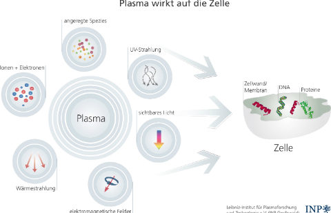 08d3ac173abe22bae2273f2cd687dfee