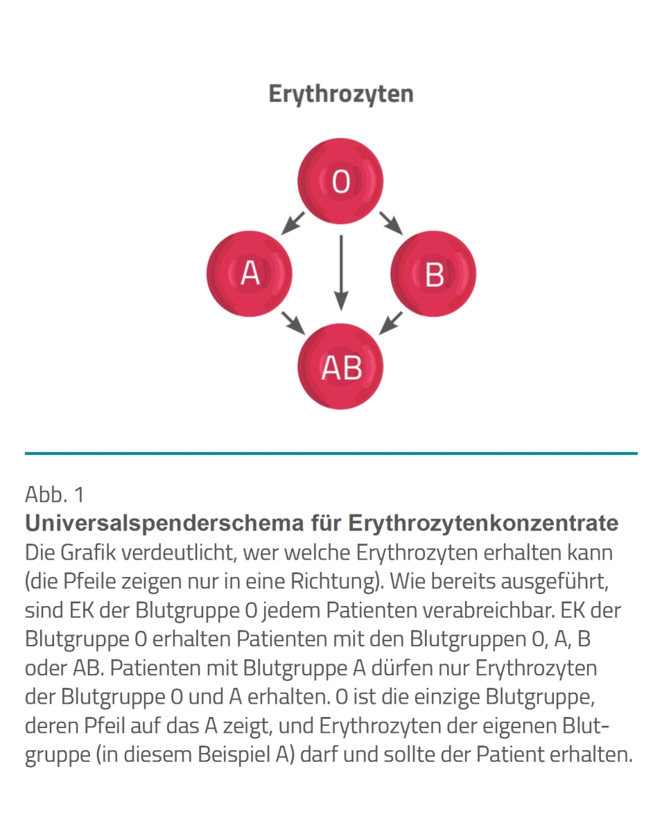 doenitz_abb_1.jpg