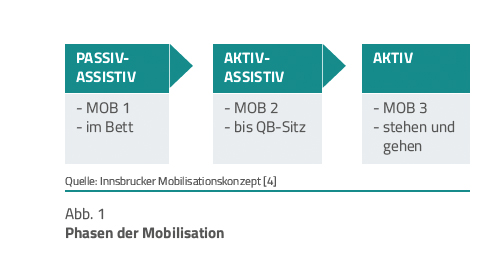 abb1_nessizius.jpg